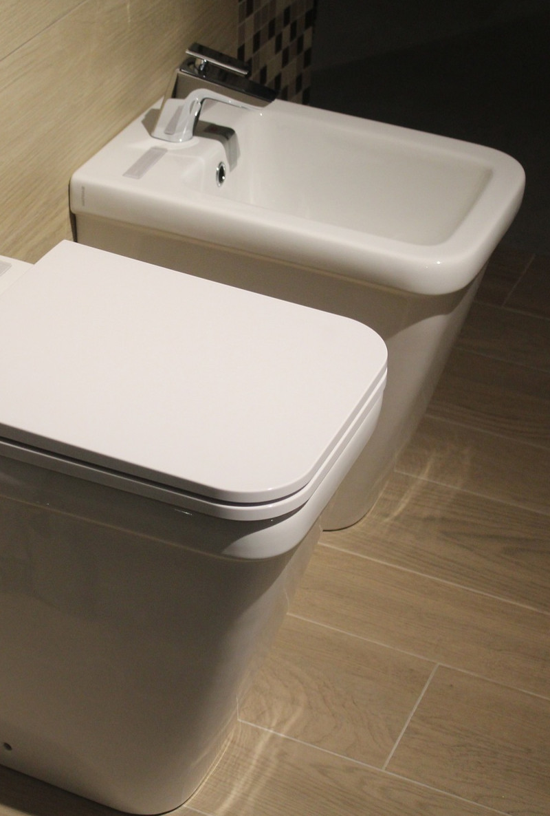Clogged Toilet London